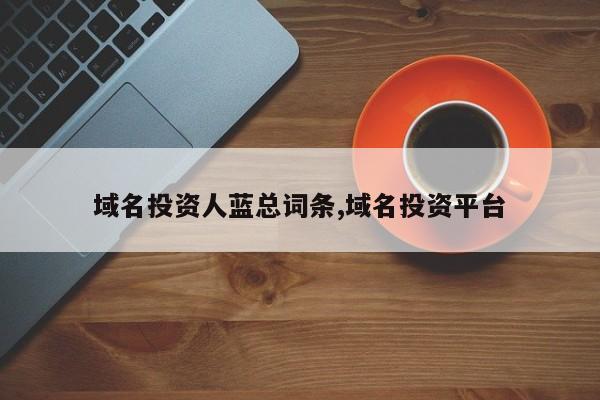 域名投资人蓝总词条,域名投资平台
