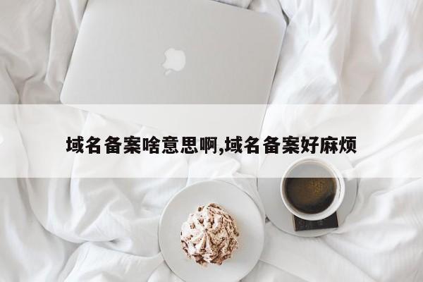 域名备案啥意思啊,域名备案好麻烦