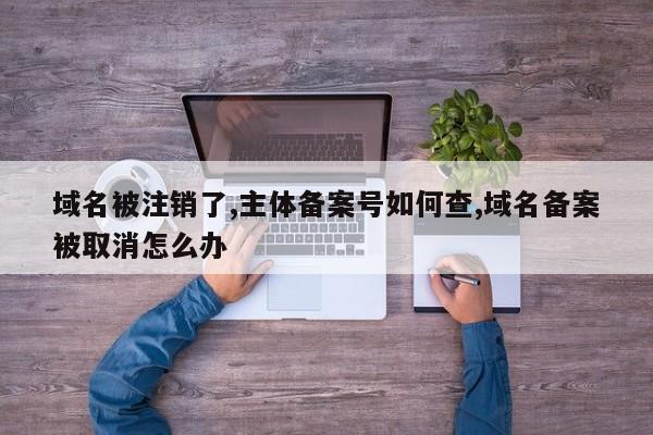 域名被注销了,主体备案号如何查,域名备案被取消怎么办