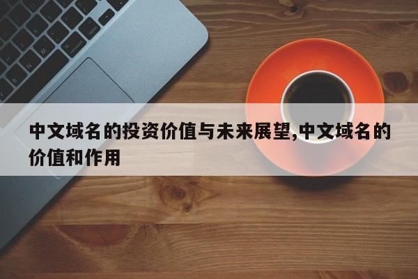 中文域名的投资价值与未来展望,中文域名的价值和作用