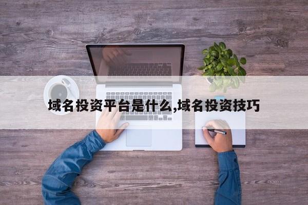 域名投资平台是什么,域名投资技巧