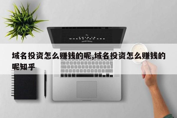 域名投资怎么赚钱的呢,域名投资怎么赚钱的呢知乎