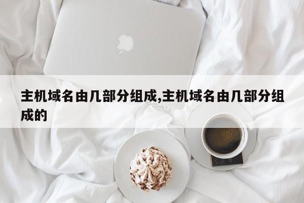 主机域名由几部分组成,主机域名由几部分组成的
