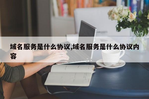 域名服务是什么协议,域名服务是什么协议内容