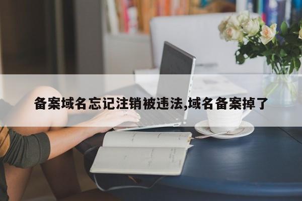 备案域名忘记注销被违法,域名备案掉了