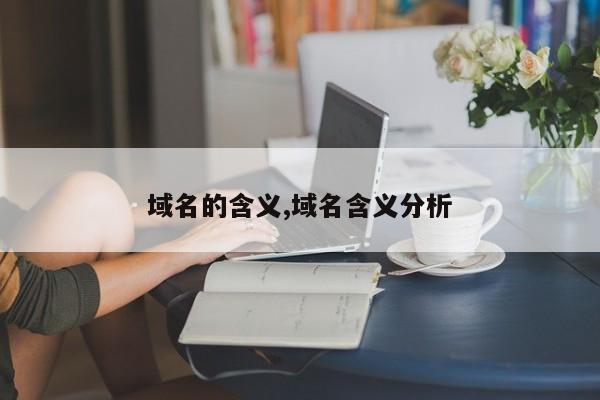 域名的含义,域名含义分析