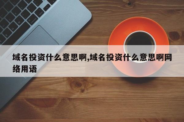 域名投资什么意思啊,域名投资什么意思啊网络用语